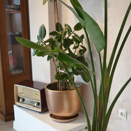 Yanki Bed & Breakfast Cekirge